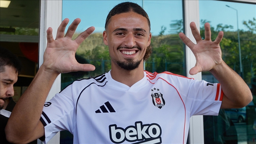 taylan bulut