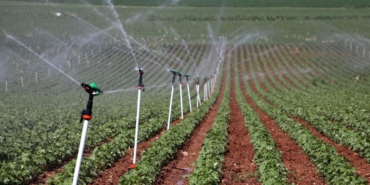 diyarbakir-ciftci-aa-1886348