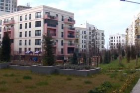 esenler-kentsel-donusum-trt-haber-2003231