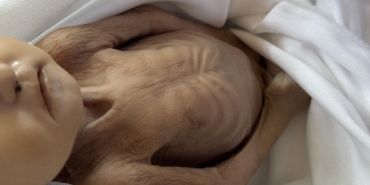 gazze-bebek-aa-2390721