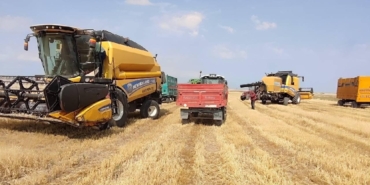 hububat-tarim-kars-aa-2262834