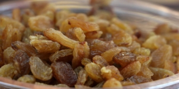 kuru-uzum-aa-1825159