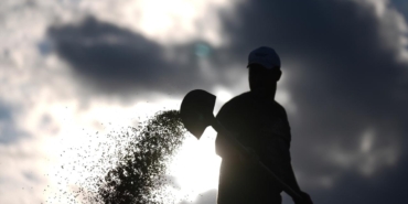 pirinc-duzce-aa-2280653