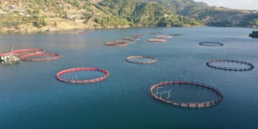 su-urunleriaa-2292645