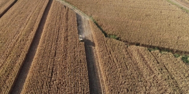 tarim-cifci-hasat-aa-1533039