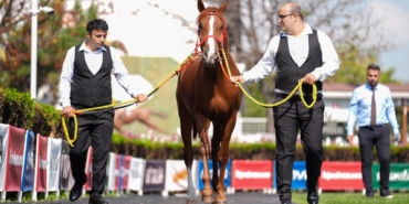 tigem-arap-ati-2282185