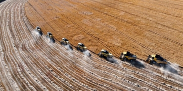 tigem-tarla-tarim-2398323