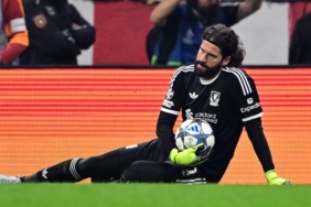 4102025004437_3335536_0_44-1