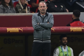 4102025230039_3372310_23_0-1