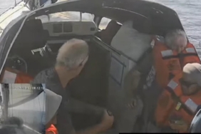 fairlady-flotill-2403537-1