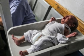 gazze-bebek-aa-2396723