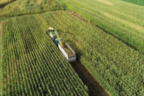 silaj-tarim-aa-2001487