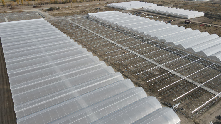 Doğu Anadolu'nun en büyük toplu sera alanı kuruluyor