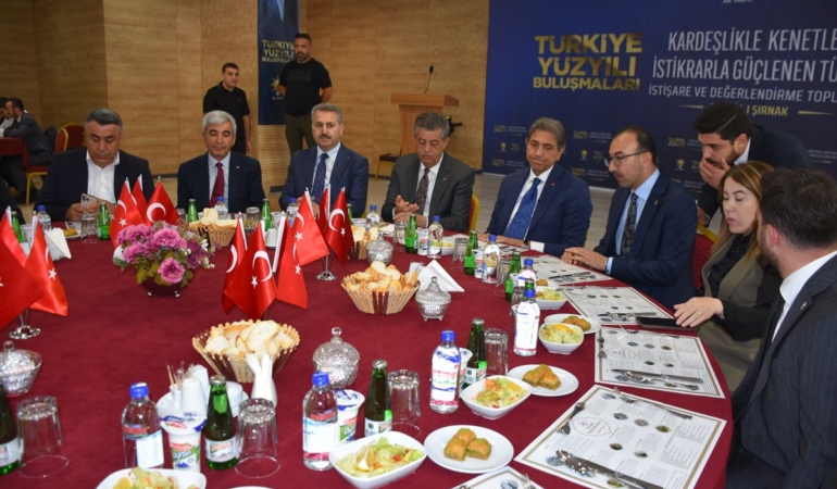 ak-parti-genel-baskan-yardimcisi-demir-sirnak-5-20218771_amp