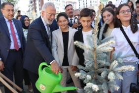 ak-parti-grup-baskanvekili-yenisehirlioglu-ma-5-20208002_amp