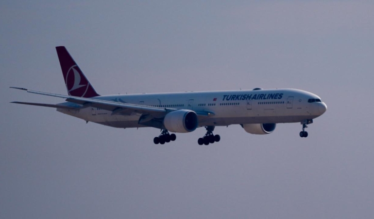 thyaa-2353228