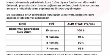tmo-nun-cekirdeksiz-kuru-uzum-alim-fiyati-bel-2-20226304_amp