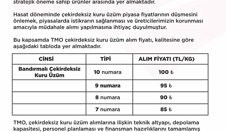 tmo-nun-cekirdeksiz-kuru-uzum-alim-fiyati-bel-2-20226304_amp
